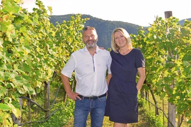 Weingut Baeuerl Apartment Duernstein Luaran gambar